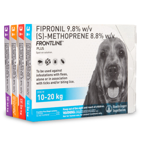frontline plus dog