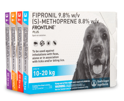 frontline plus dog